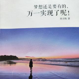 《梦想》第1章第3节读书感受