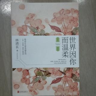 《世界因你而温柔》先知豆腐／内外皆柔软／卷帘