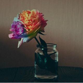 【lesson 113】在线收听_张欣彤_荔枝