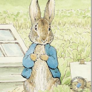 彼得兔的故事