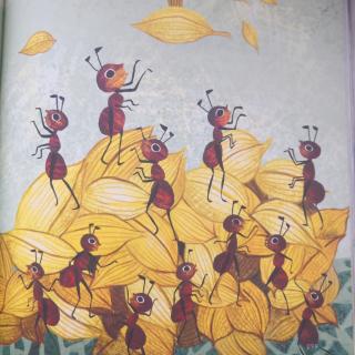 绘本故事—蚂蚁与麦粒