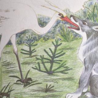 24王镜程狼与鹭鸶