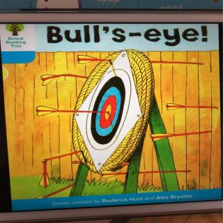 bulls-eye
