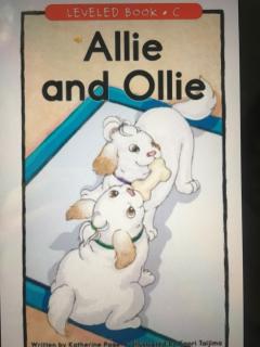 Allie and Ollie 🐩