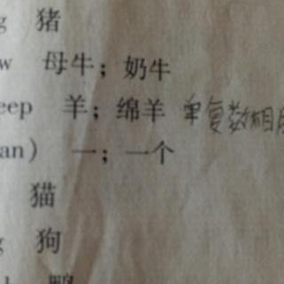 英语阅读