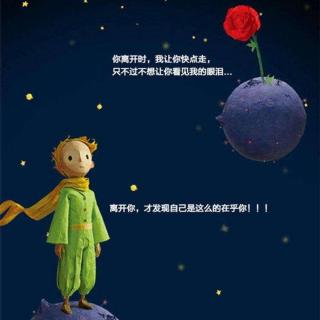 《小王子》--玫瑰花🌹