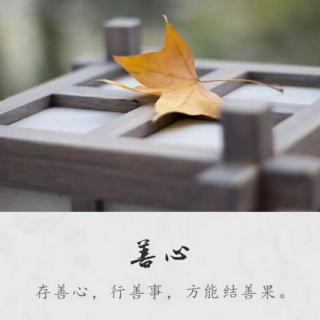 《家道传承》第十四讲“长善”（上篇）