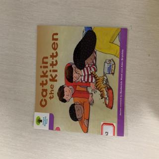 20200302catkinthekitten