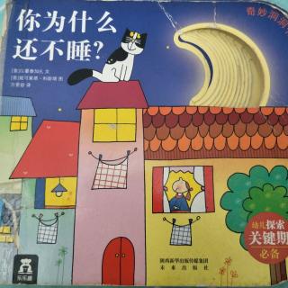 你为什么还不睡