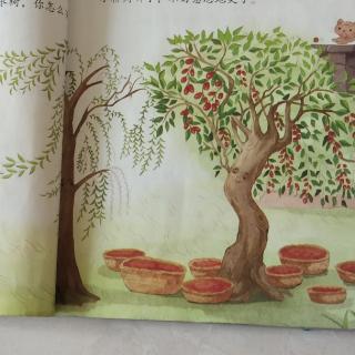小柳树和小枣树简笔画图片