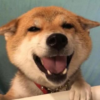 普通话训练 49--52 (3月3日)