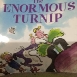 The ENORMOUS TURNIP
