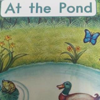 At      The        pond