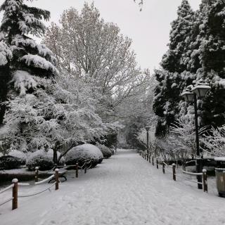 《邂逅》作者  周国平  诵读  吴建华