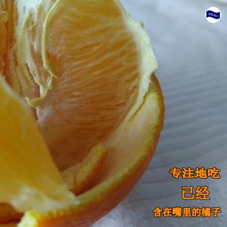 读书内化| 1-3 吃橘子的存在感 【正念的奇迹】