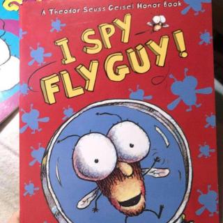 I Spy FLY GUY!