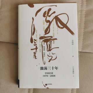 《激荡三十年》吴晓波“1992春天的故事3”