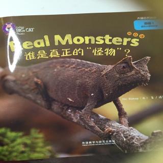 Real monsters