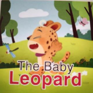 The Baby Leopard