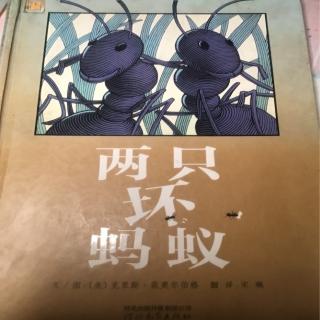 两只坏蚂蚁🐜