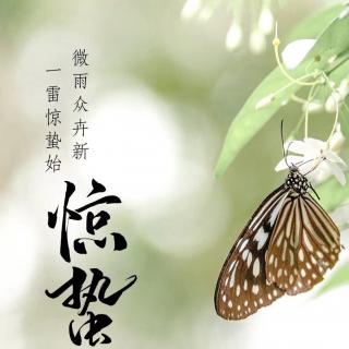 《惊蛰》节选（作者：张卫华）