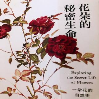 《花朵的秘密生命》--蓝玫瑰的炼金术