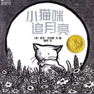 儿童绘本故事《小猫咪追月亮》