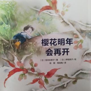 小豪读绘本《樱花明年会再开》