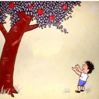 绘本故事《爱心树🌲》