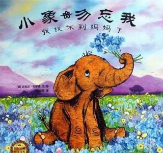 小象🐘勿忘我，我找不到妈妈了