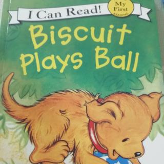 Biscuit plays  Ball