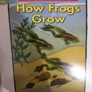 How frogs grow