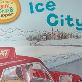 Ice City