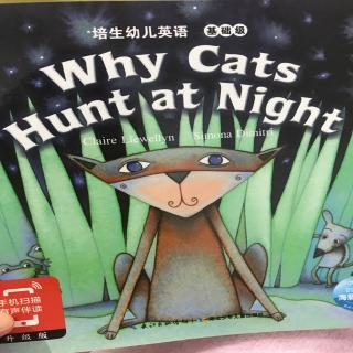 Why Cats Hunt at Night