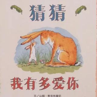 绘本故事《猜猜我有多爱你》