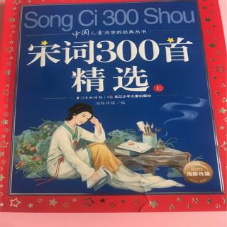 宋词300首。