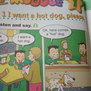 I want a hot dog，please.