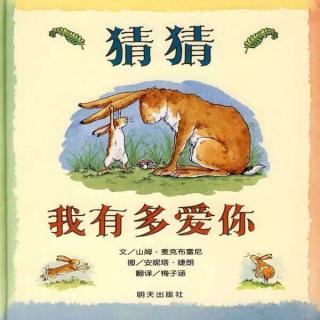 《猜猜我有多爱你》