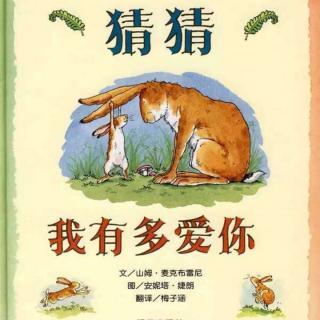 《猜猜我有多爱你》