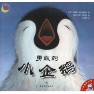 【潜江市大桥幼儿园】睡前故事25《勇敢的小企鹅》