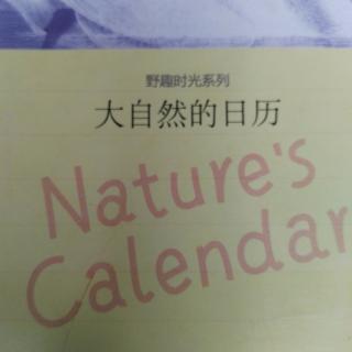 光的春天 《大自然的日曆》