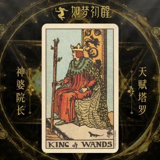  韦特塔罗牌-权杖国王（King of Wands）