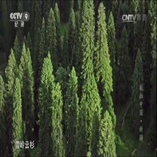 沁园春 长沙