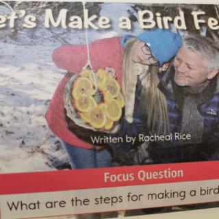 Let’s make a bird feeder!