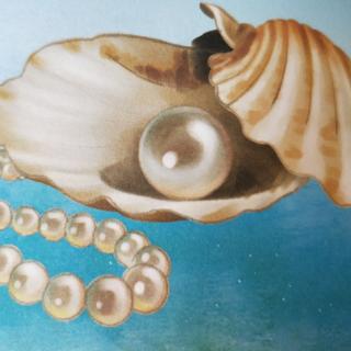 为什么蛤蚌能产出美丽的珍珠？