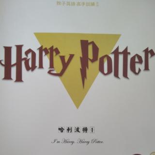 Harry Potter11-14章