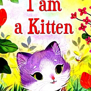 英文绘本I am a Kitten