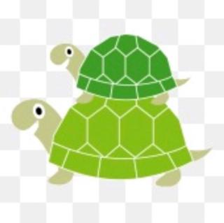 《两只乌龟》