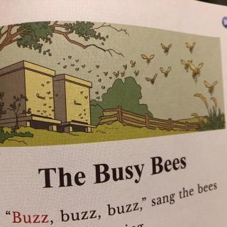 The Busy Bees