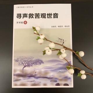寻声救苦观世音祈请菩萨安置心意